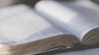 aufgeschlagenes Buch